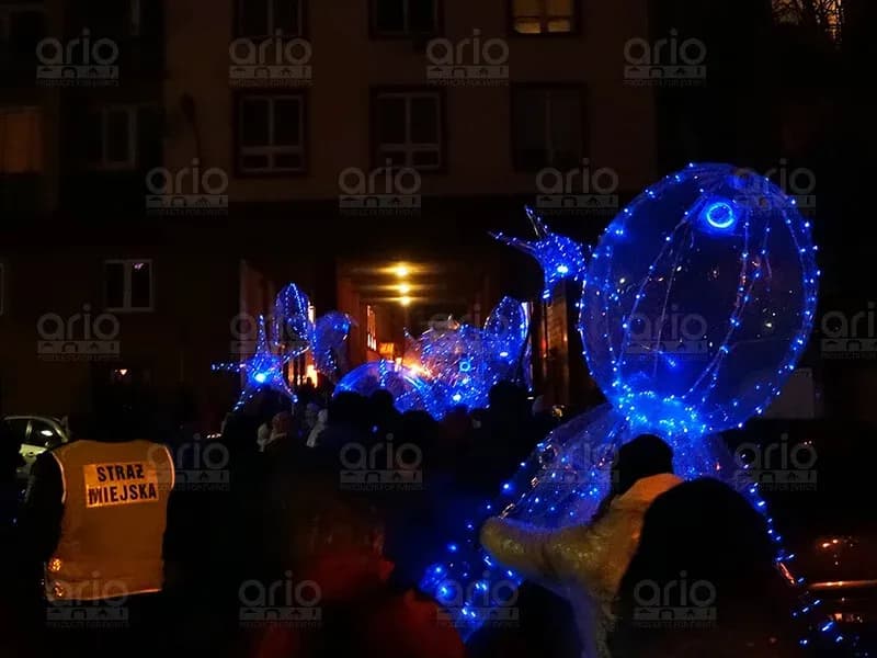 Balony 3D w kształcie zwierząt morskich na Weekend Otwarcia Europejskiej Stolicy Kultury Wrocław 2016 – ujęcie 8